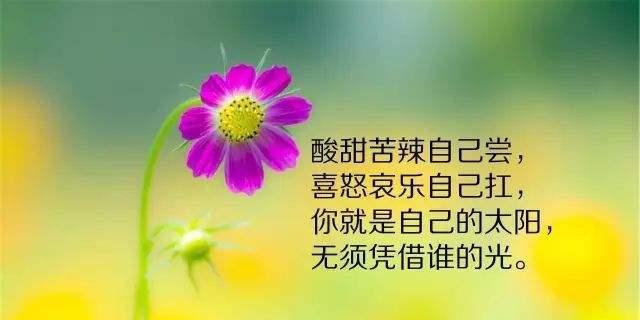 为什么鼓励如此重要？名言背后的启示是什么？