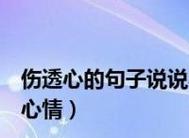 感动搞笑句子说说心情怎么选？有哪些推荐？