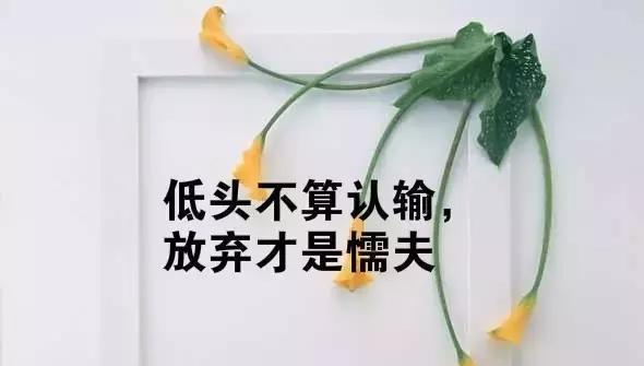 如何用积极态度面对人生挑战？对待人生的态度句子有哪些？