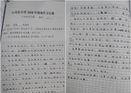 有关乐观的孩子的作文怎么写（《乐观的孩子》）