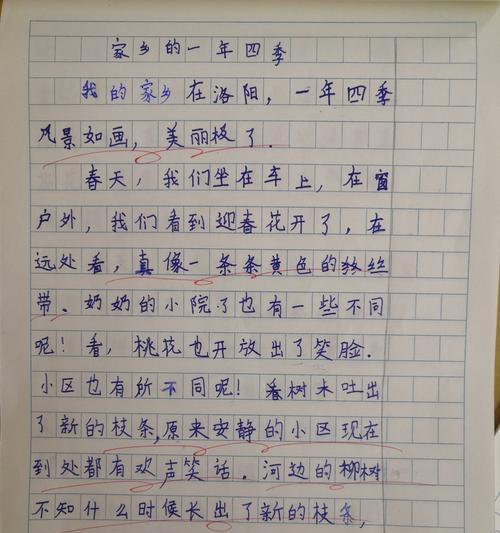 我喜欢季节的作文300字（《夏日快乐》）