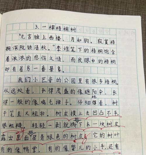 有关于梧桐树的作文（《冬日梧桐的故事》）