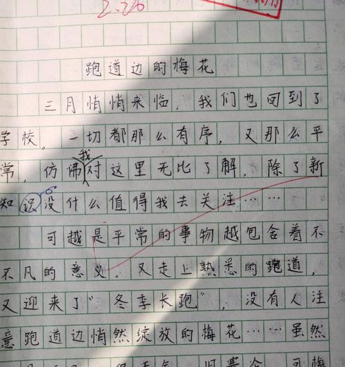 以梅花为题的作文300个字（《梅花丹心》）