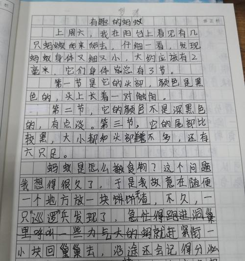 观察一种事物400字作文（《小学生的观察之旅》）