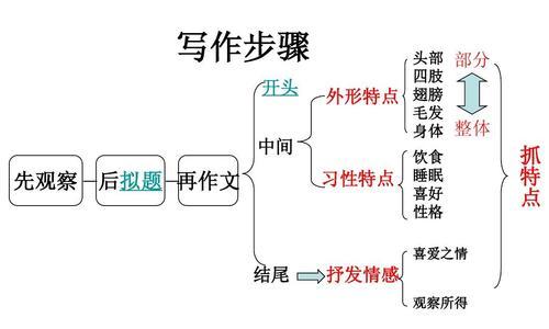 以真没想到为题的作文怎么写（《我真没想到初一》）