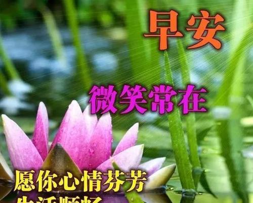 6月祝福语唯美句子有哪些？如何挑选适合的祝福语？