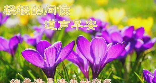 6月祝福语唯美句子有哪些？如何挑选适合的祝福语？