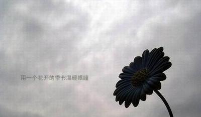 无风格的情绪唯美句子怎么找？如何在日常生活中发现它们？