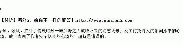 郁闷句子赏析？如何理解其深层含义和情感表达？