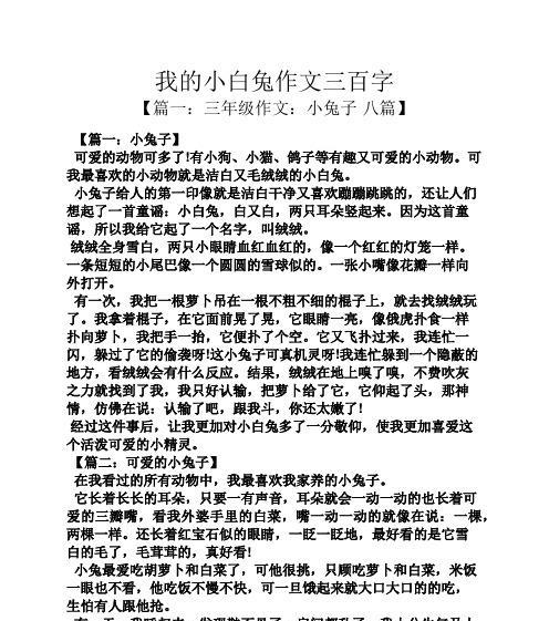 有关小白兔的作文怎么写（《一只可爱的小兔子，用勇气和信念，追逐属于自己的梦想》）