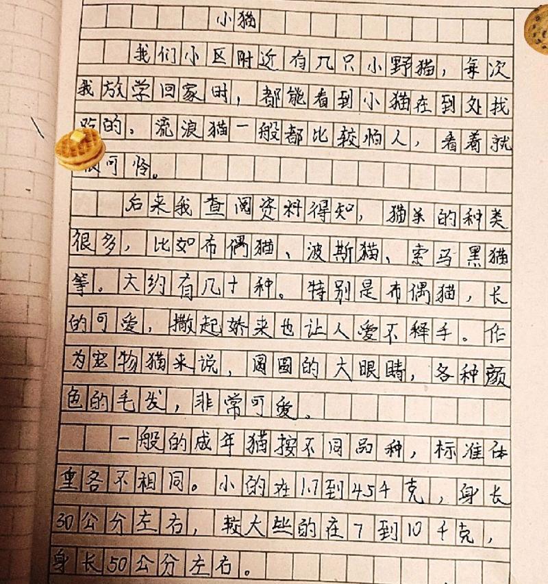 有关事物的作文怎么写（《红色梦想》）