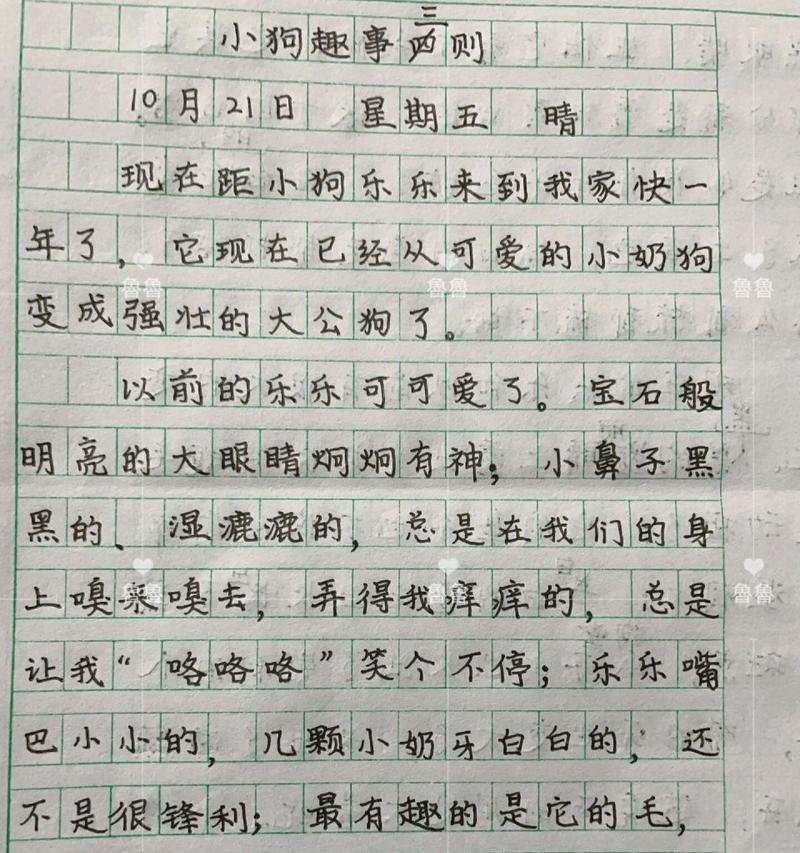 以小狗为话题的作文二年级怎么写（《我和小狗狗的成长之路》）