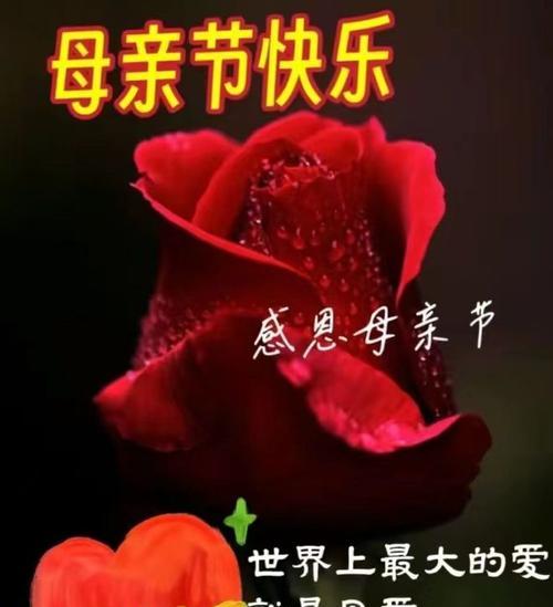 母亲节快乐祝福语怎么说（母亲节快乐祝福短句）