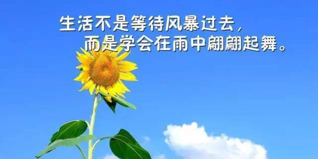 努力励志名言名句大全带意思（《豪气励志，踏实前行》）