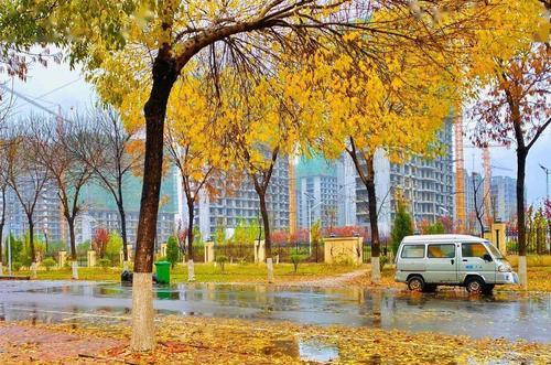 立冬的第一场雨怎么写（初雨潇潇，带来丰沛的生机）