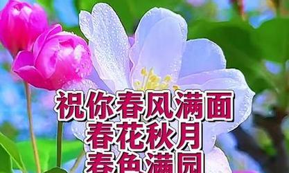 立春的祝福语怎么说（用句子传递温暖，用祝福点亮心灵）