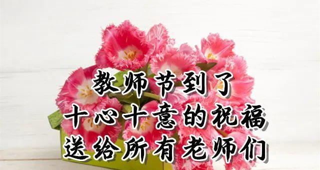 9月10日教师节的祝福语怎么写（教师节最美的祝福）