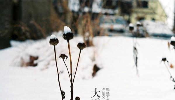 24节气大雪怎么发朋友圈（暖心大雪，温馨朋友圈）