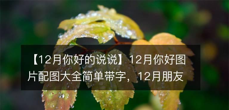 抖音迎接12月再见11月的句子好句有哪些？（跨越岁月，与抖音共舞）