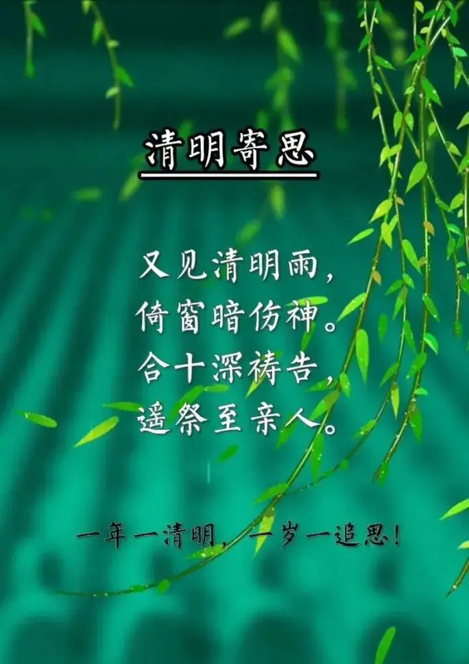 清明雨句子好句有哪些？（《细雨润清明：古韵新声》）