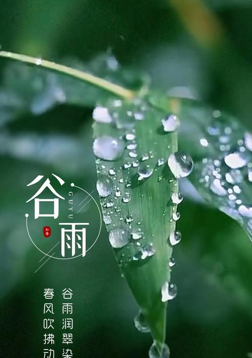 谷雨春的意思（谷雨润物细无声）